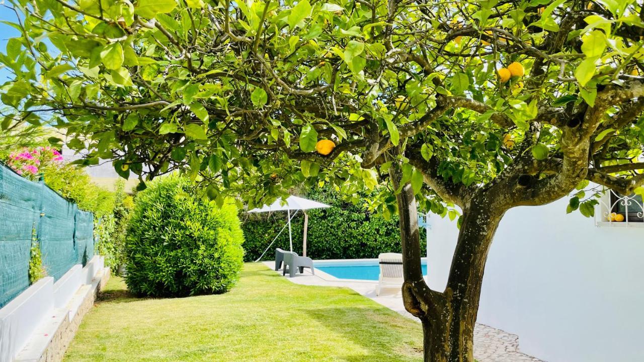 Villa Strip By Check-in Portugal *